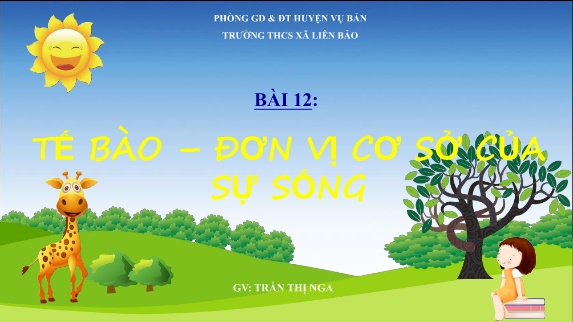 Bài giảng Khoa học tự nhiên Lớp 6 Sách Kết nối tri thức - Bài 12: Tế bào. Đơn vị cơ sở của sự sống - Trường THCS Liên Bảo