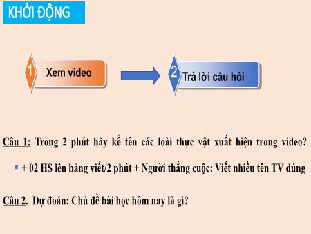 Bài giảng Khoa học tự nhiên Lớp 6 Sách Kết nối tri thức - Bài 34: Thực vật - Trường THCS Tân Thành