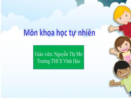 Bài giảng Khoa học tự nhiên Lớp 6 Sách Kết nối tri thức - Tiết 79+80+81, Bài 35: Thực hành Quan sát và phân biệt một số nhóm thực vật - Trường THCS Vĩnh Hào