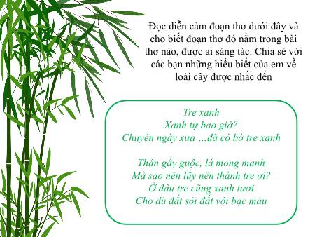 Bài giảng Ngữ văn Lớp 6 Sách Kết nối tri thức - Văn bản Cây tre Việt Nam