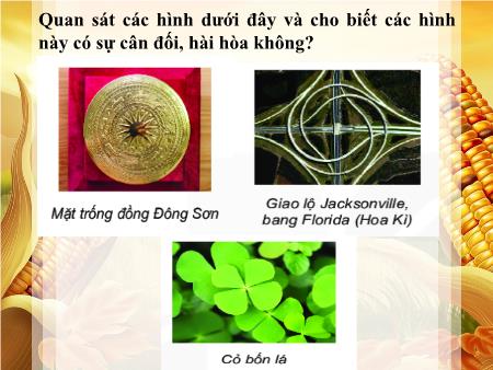 Bài giảng Toán Lớp 6 Sách Cánh diều - Tiết 16+17: Hình có tâm đối xứng
