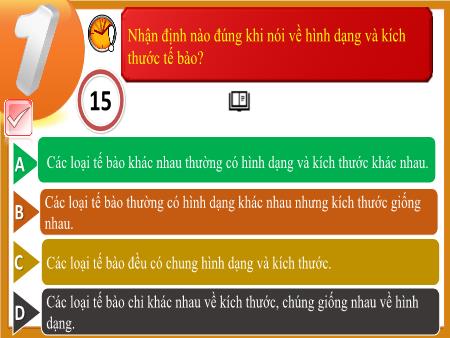 Bài tập trắc nghiệm Khoa học tự nhiên Lớp 6 Sách Kết nối tri thức - Chương 5 - Trường THCS Vĩnh Hào