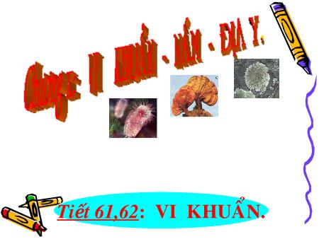 Bài giảng Sinh học Lớp 6 - Tiết 61+62: Vi khuẩn